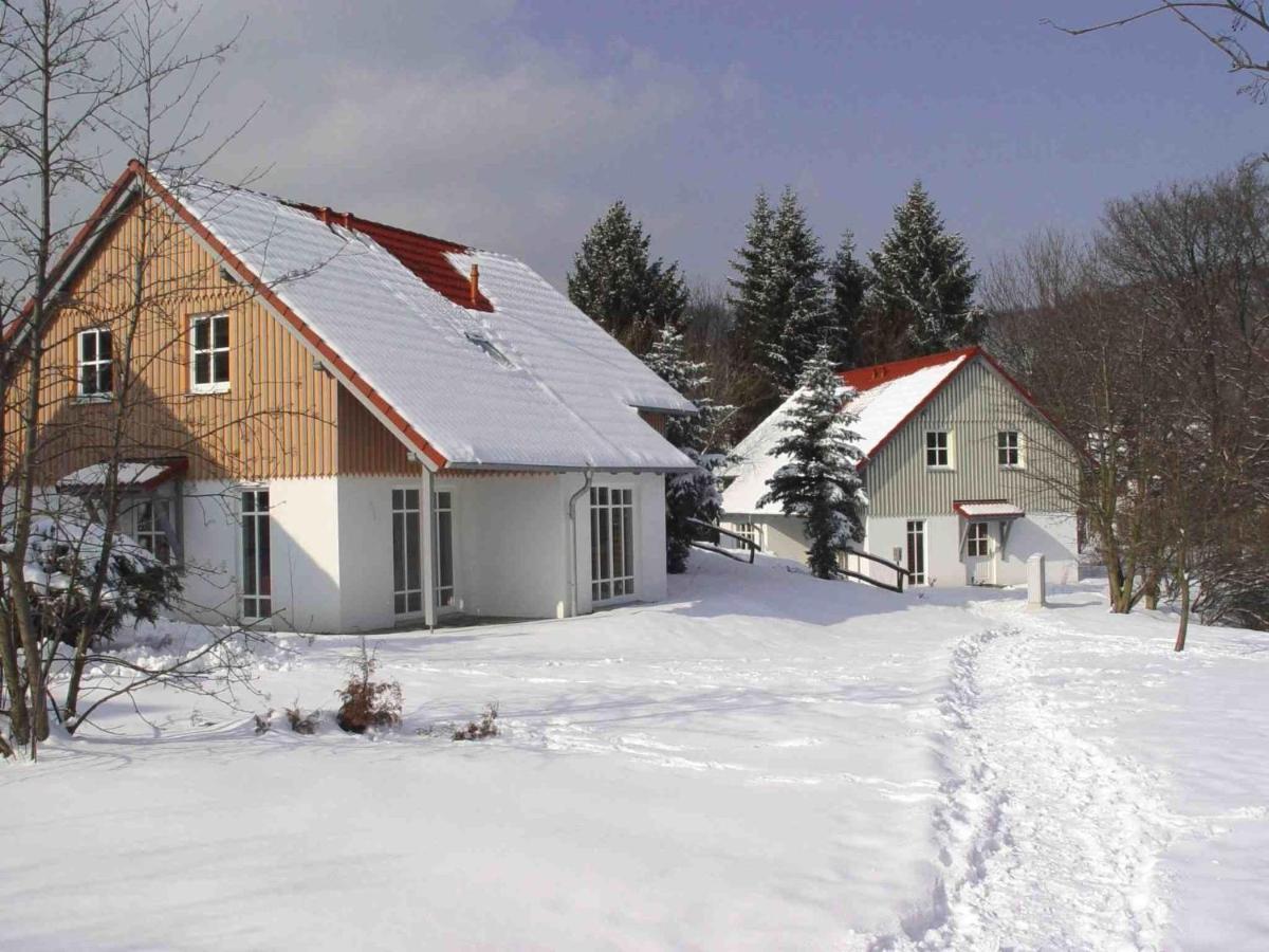 Holiday Home In Wernigerode With A Terrace Exteriör bild